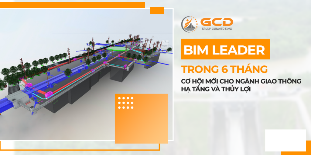 Bim leader